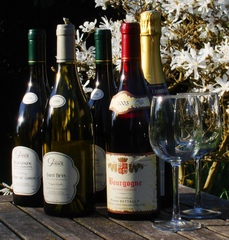 Burgundy Bottles medium
