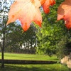 Dramatic Light Two