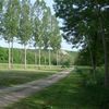 Views around Cry C