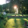 Setting sun through Avenue