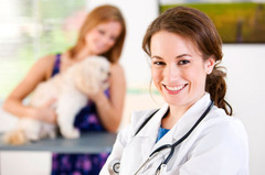 Veterinary_studies-medium