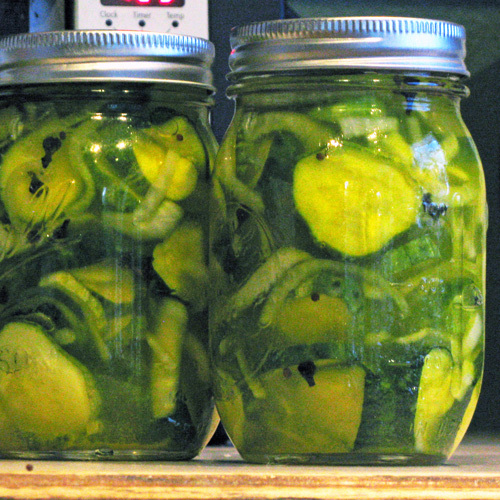 Bread and Butter Refrigerator Pickles Image