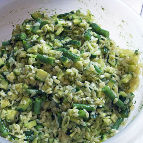 Orzo, Green Bean, and Fennel Salad with Dill Pesto Image