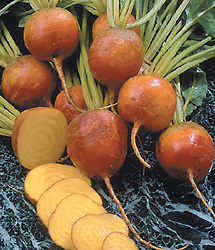 goldenbeets.jpg - medium