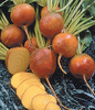 goldenbeets.jpg - thumb