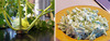 kohlrabi-medley.jpg - thumb