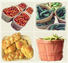 plum-creek-valley.png - thumbnail