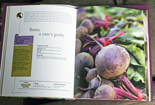 beetpage1.jpg - medium beetpage1.jpg - medium