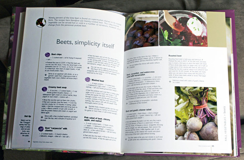 beetpage2.jpg - medium beetpage2.jpg - medium