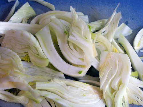 fennel2.jpg - medium fennel2.jpg - medium