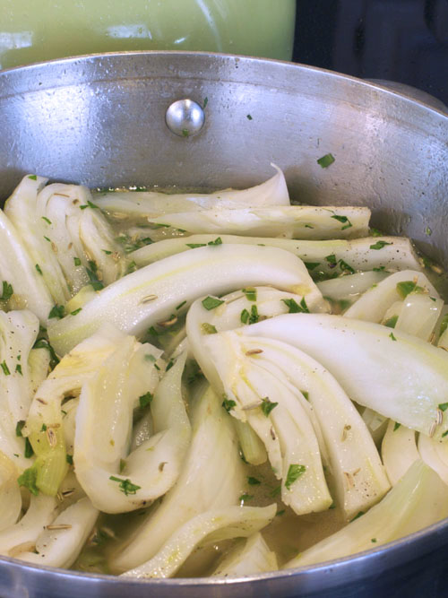 fennel3_copy2.jpg - original fennel3_copy2.jpg - original