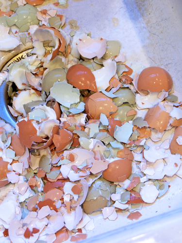 eggs2-smaller.jpg - medium