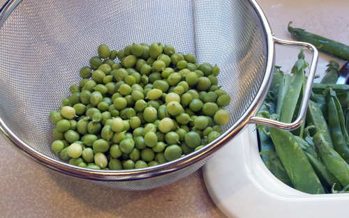 peas1-smaller.jpg - medium peas1-smaller.jpg - medium
