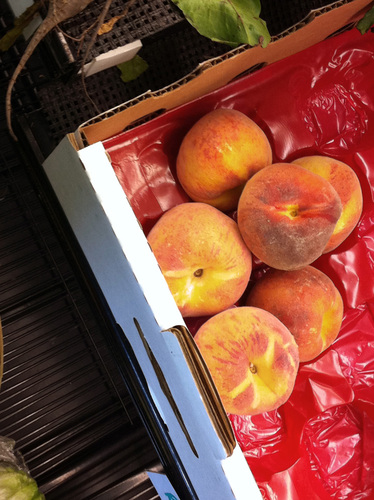 peaches2-smaller.jpg - medium