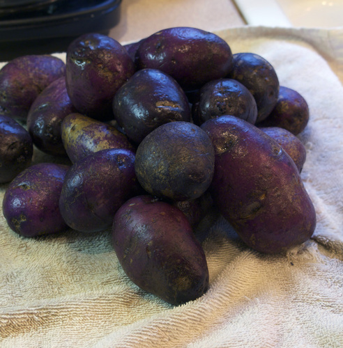 poatoes1.jpg - medium