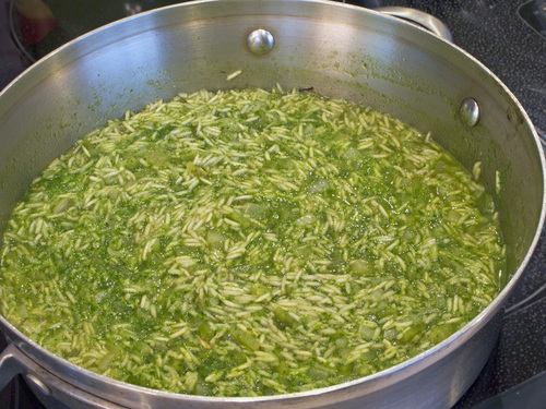 rice2.jpg - medium rice2.jpg - medium