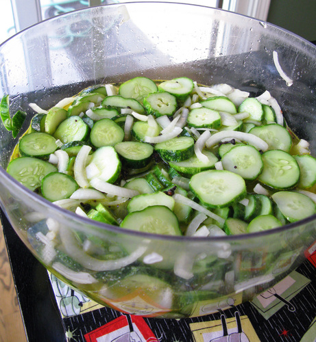 pickles1.jpg - medium pickles1.jpg - medium