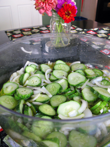 pickles2.jpg - medium pickles2.jpg - medium