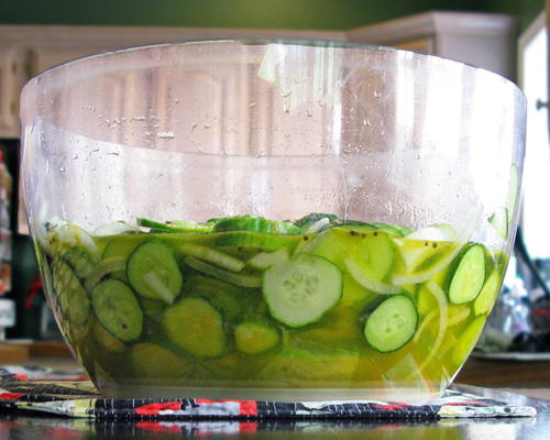 pickles3.jpg - medium pickles3.jpg - medium