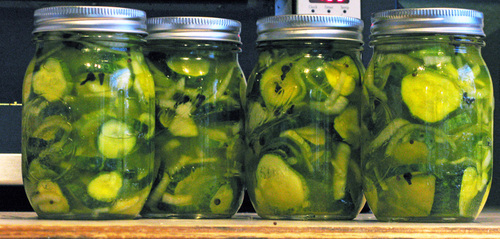pickles4.jpg - medium pickles4.jpg - medium