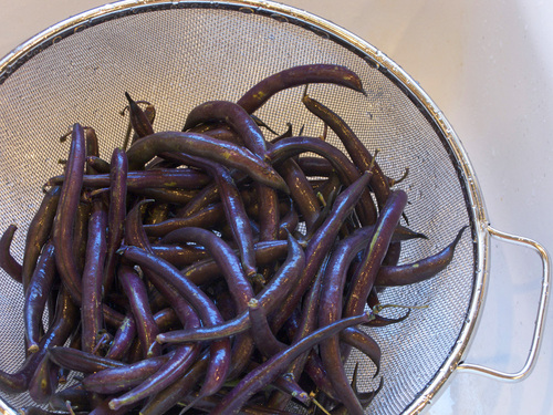 beans-smallers.jpg - medium