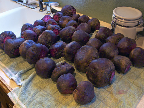 beets-counter-top.jpg - medium
