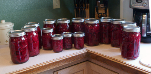 manyjars.jpg - medium