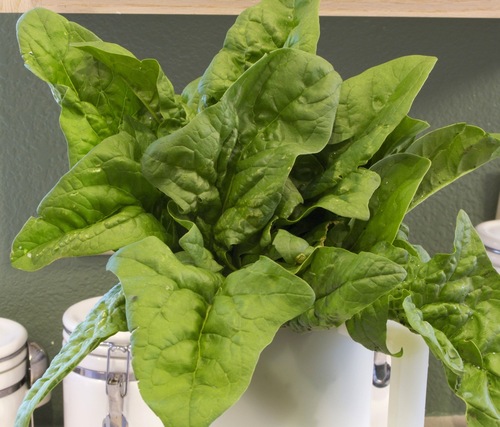Spinach bouquet