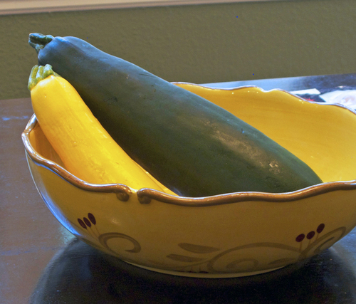 squash.jpg - medium squash.jpg - medium
