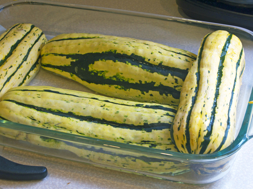 squash2.jpg - medium