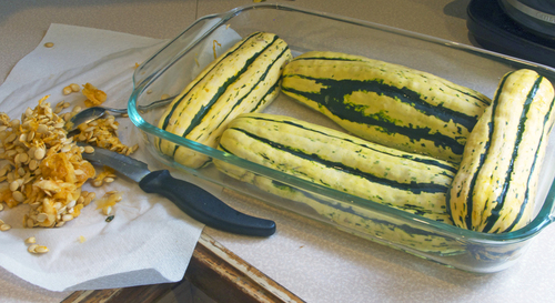 squash1.jpg - medium