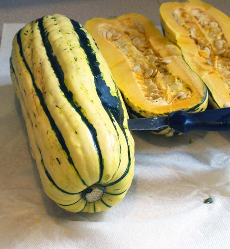 delicata.jpg - medium