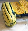 delicata.jpg - thumb