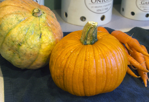 squash-scaled.jpg - medium squash-scaled.jpg - medium