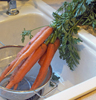 carrots-scaled.jpg - thumb