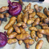 onion-pots-scaled.jpg - thumb