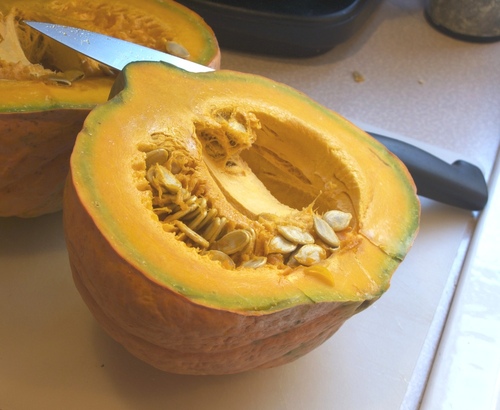 squash2.jpg - medium
