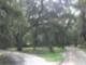 golden isles views