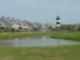 Pond