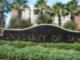 University Of Tampa