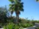 The Reserve Of Old Tampa Bay