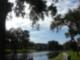 The Grande At Olde Carrollwood