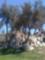 Golf Course