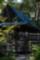 Japenese Garden-2