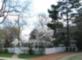 Old Oakville Home in Spring