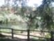 Waterford Stanislaus River