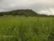 Kahakuloa ocean view