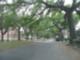 Opelousas Ave - the main street in Algiers Point