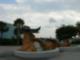 Outside Riplyels Acquarium