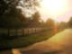 Evening bike ride in Southold